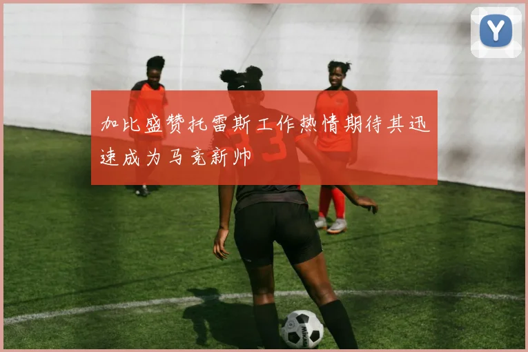 加比盛赞托雷斯工作热情期待其迅速成为马竞新帅
